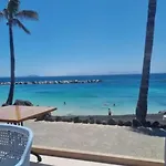 Vista Lobos Flamingo * プラヤ・ブランカ